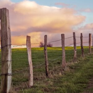 Zaun auf einer grünen Wiese bestehend aus mehreren Holzpfeilern - Titelbild des Blogbeitrags "Grundpfeiler der synchronen Lehre"